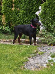 Garten check