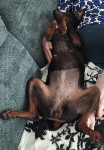 Kuscheln ohne Ende