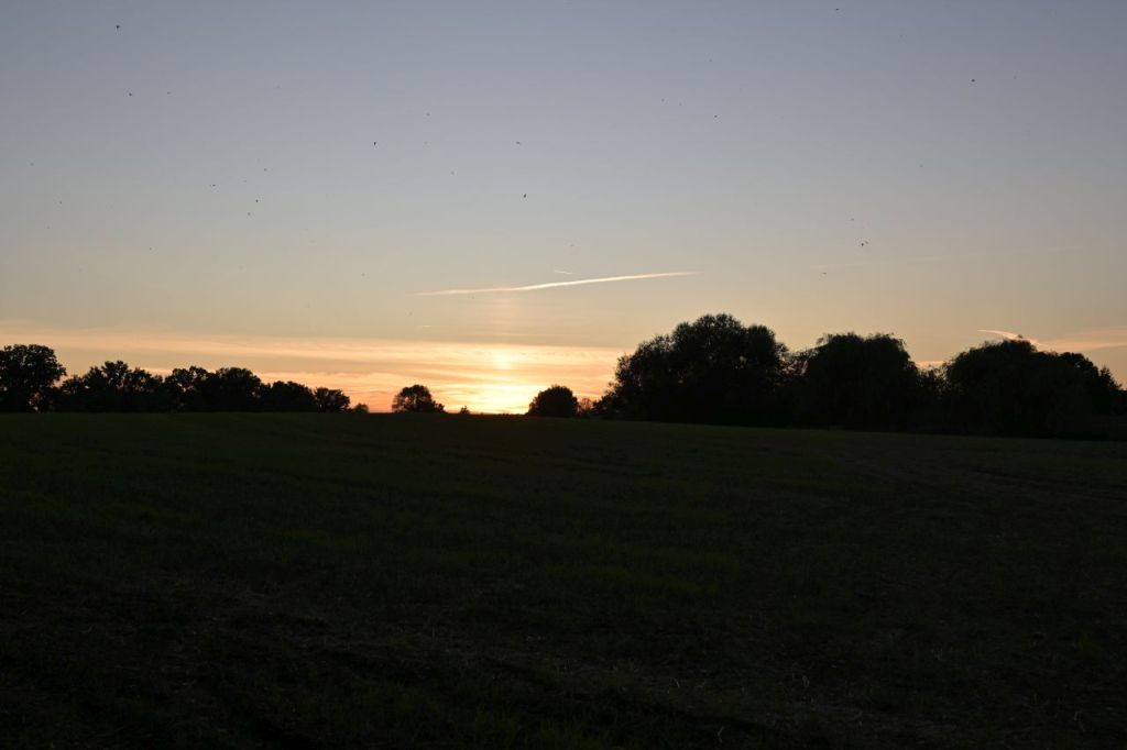 DSC_9413